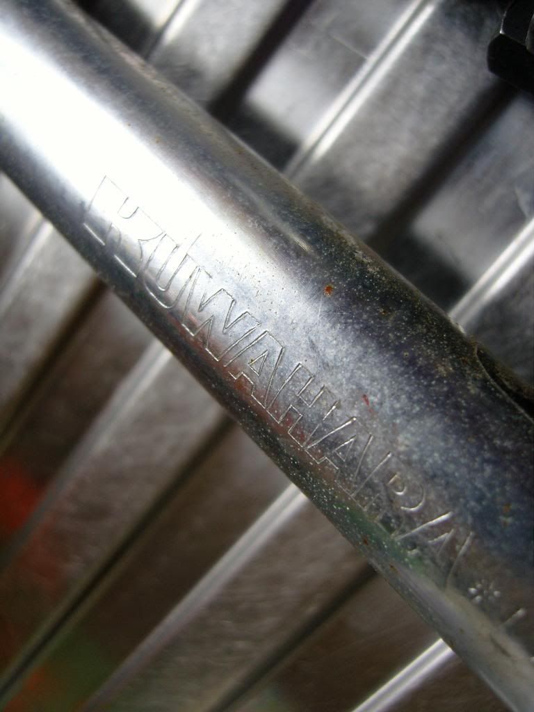 SNC18920.jpg