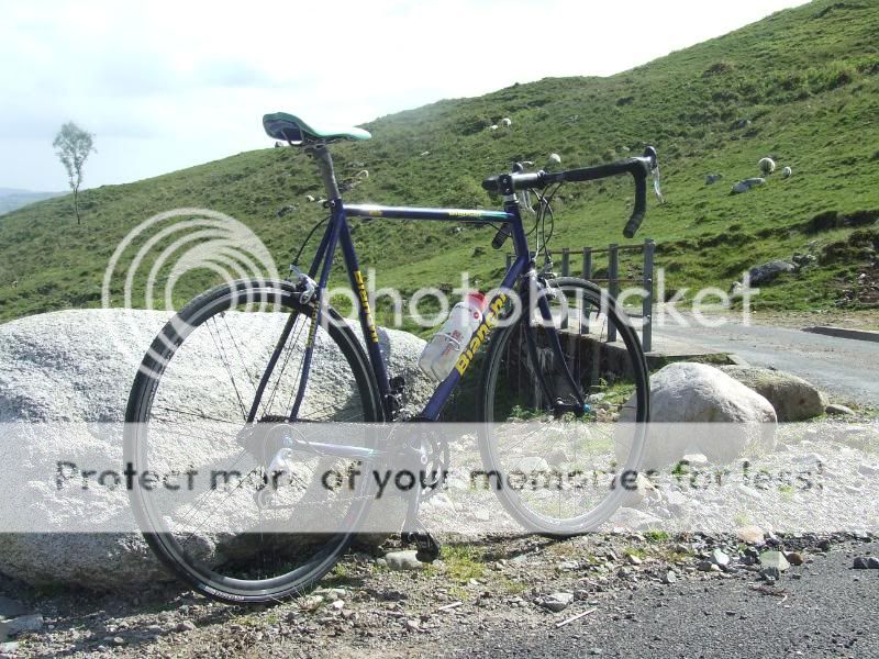 bianchi319.jpg