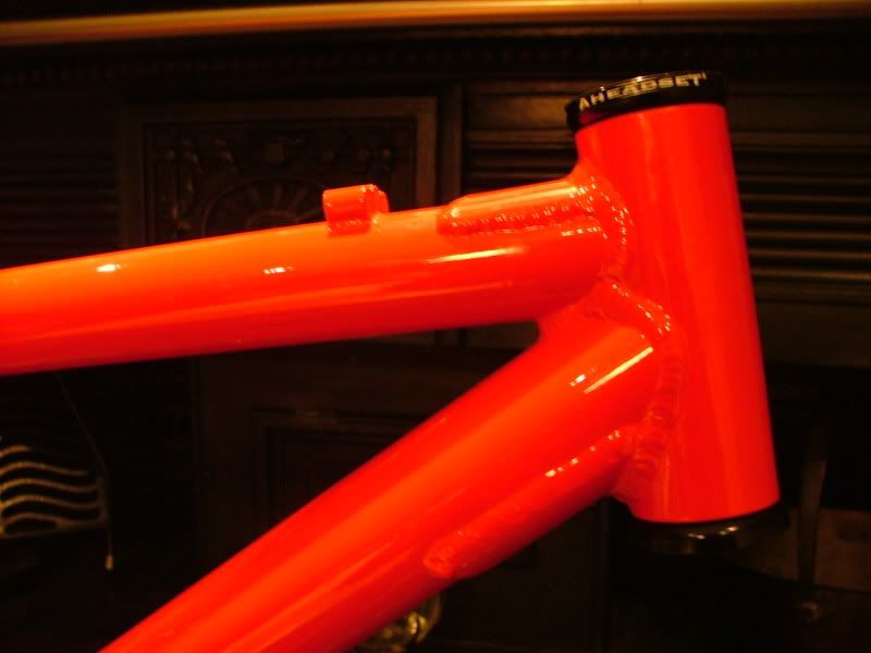 DSCF6317.jpg