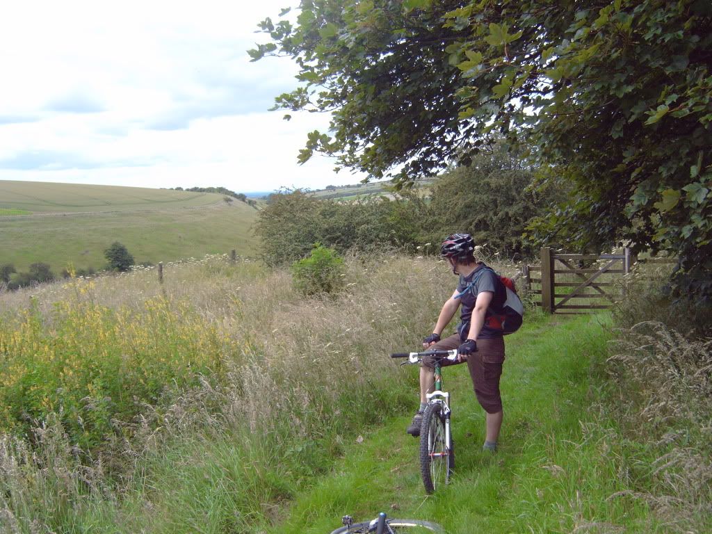 IMG00418.jpg