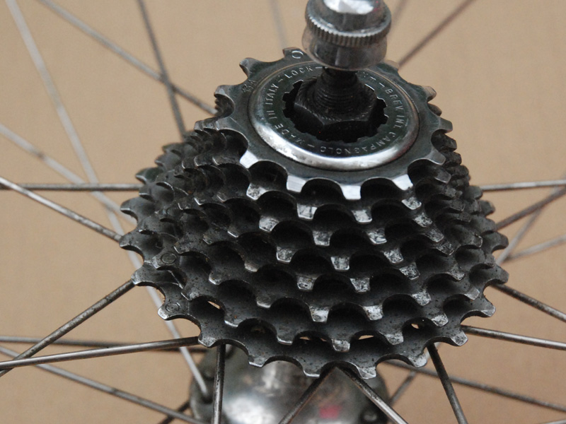 campagwheel_04.JPG