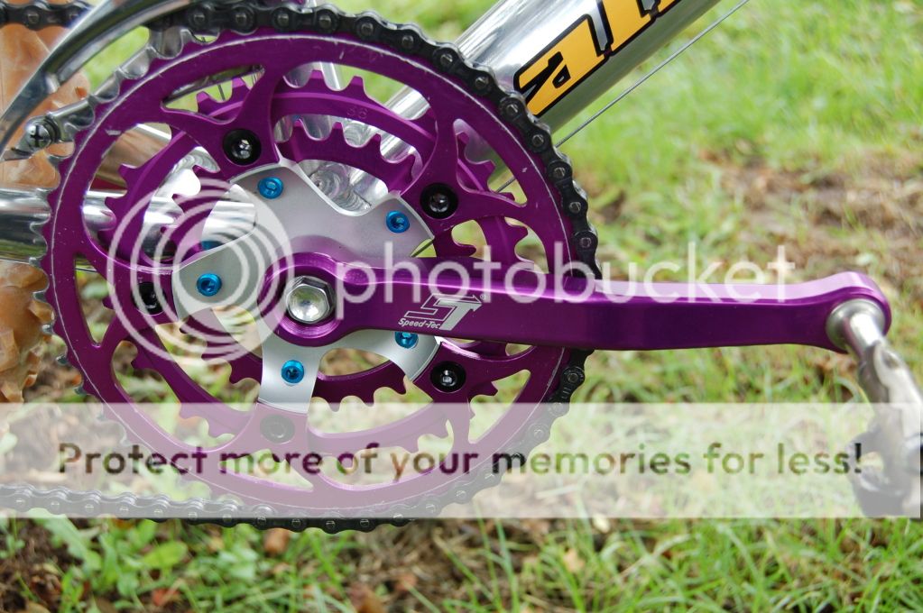 PurpleZaskar003.jpg