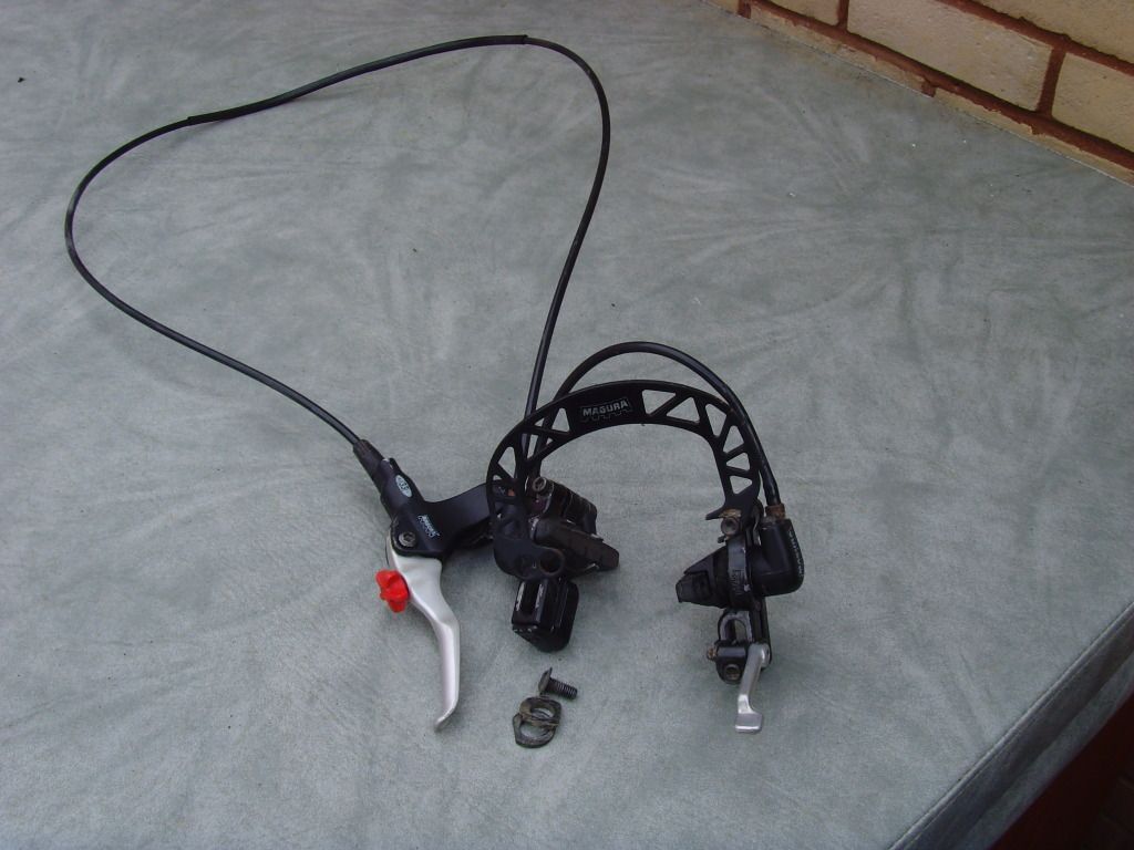 SNV36712.jpg