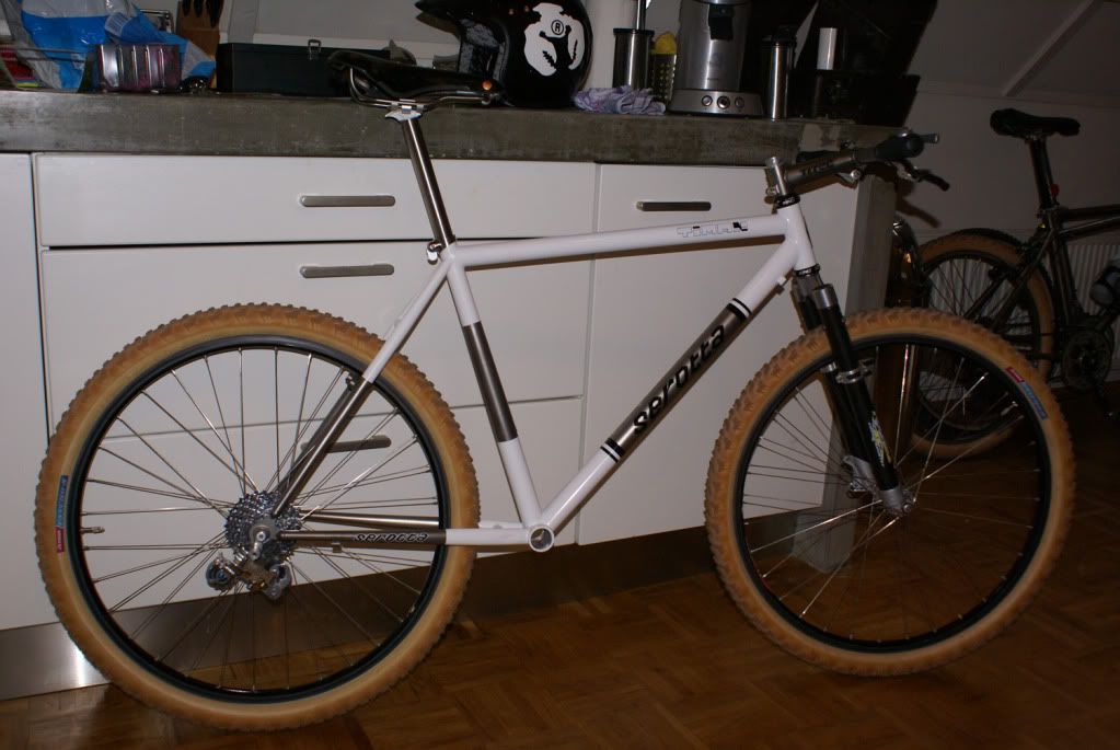 SerottaWhite-.jpg