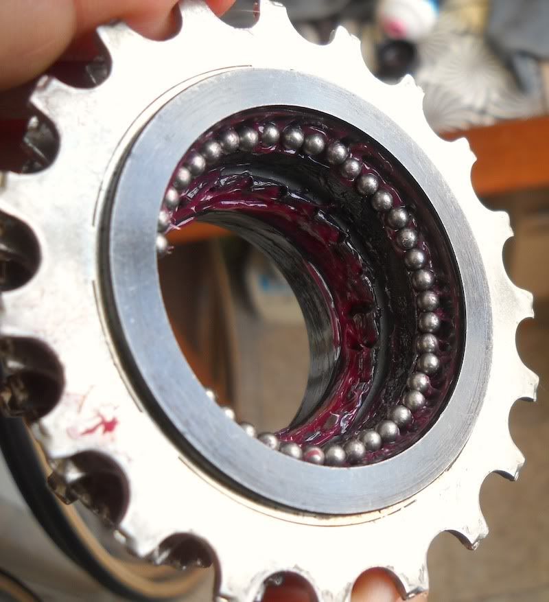 Freewheel07.jpg