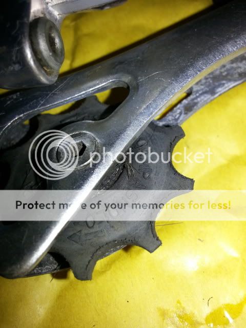 20130302_114145.jpg