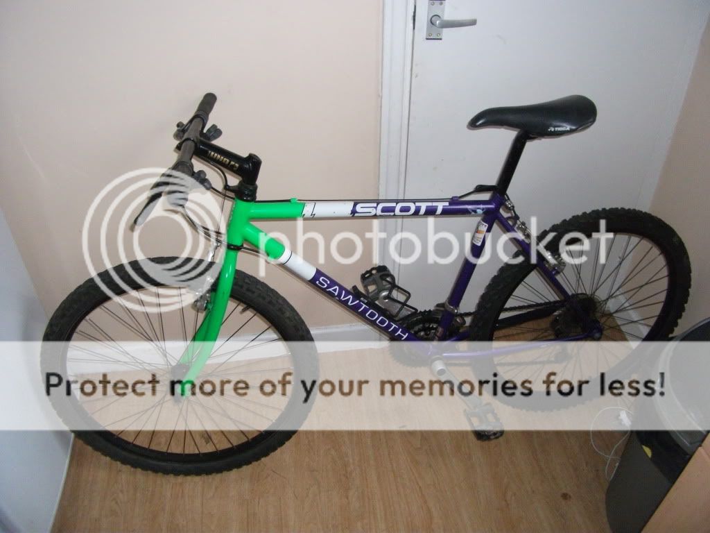 DSCF0379.jpg