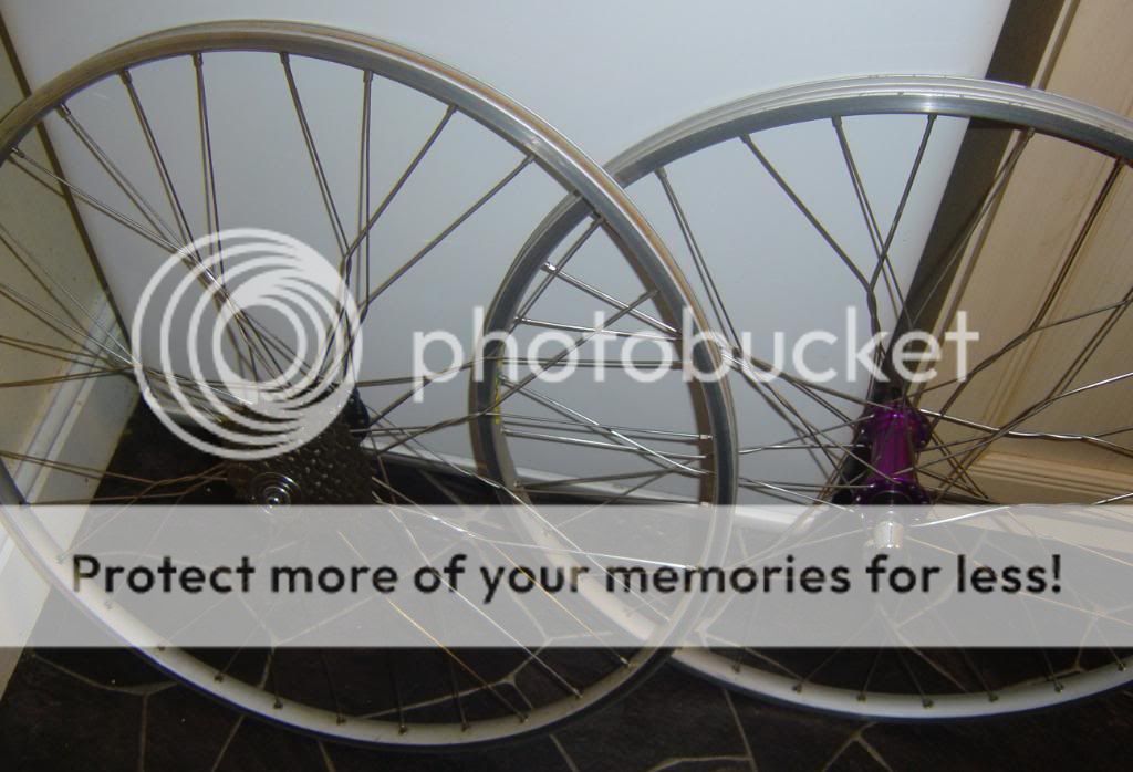 wheels-1.jpg