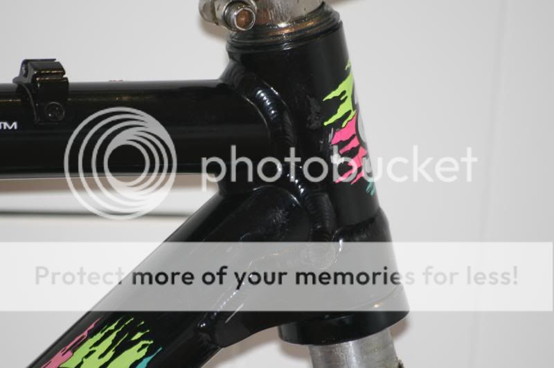 IMG_0021_zpsbf0ab19c.jpg