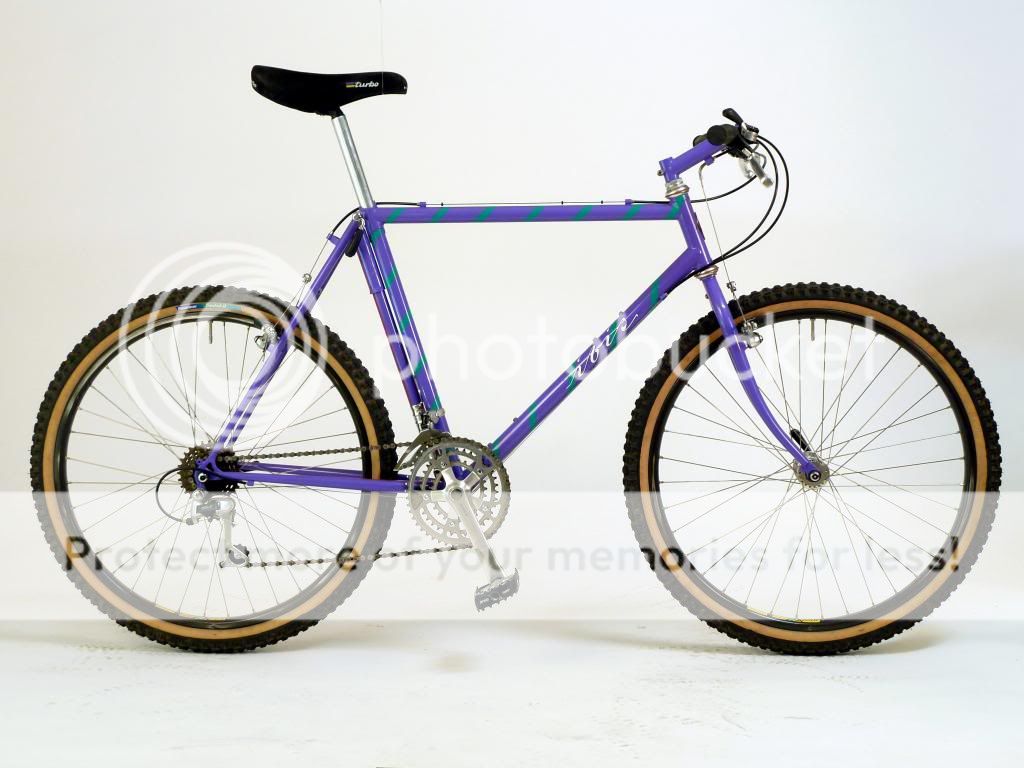 ibisno522wa01.jpg