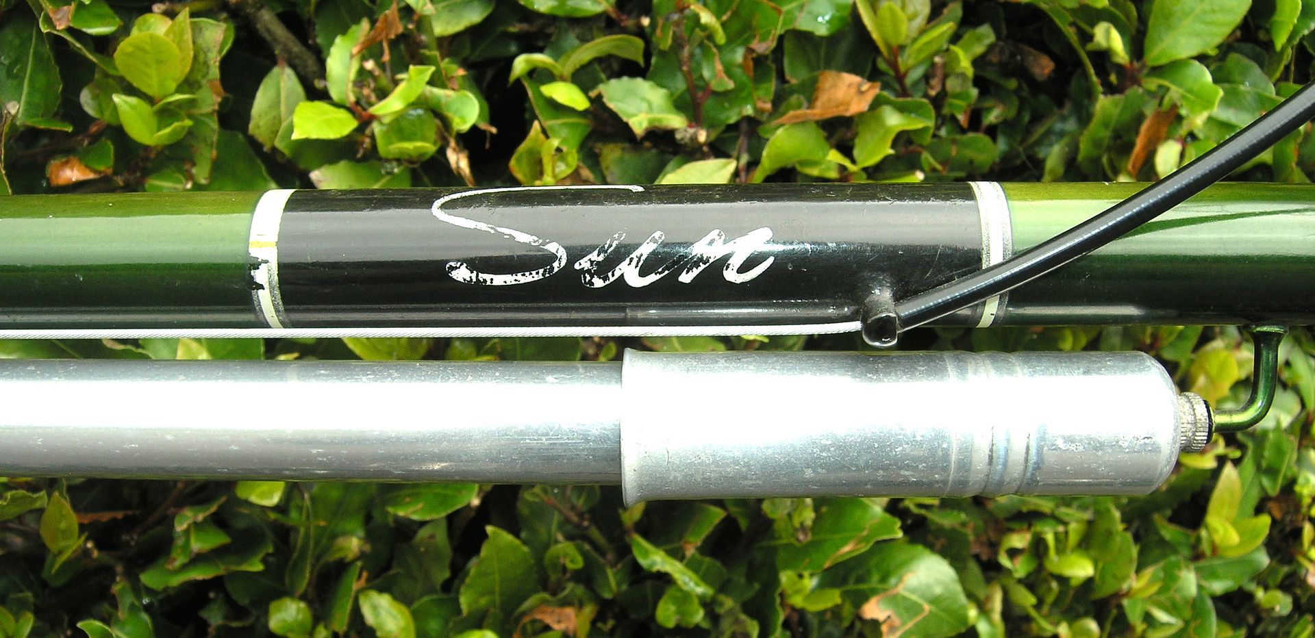 P8020450_zps0b34fa9e.jpg