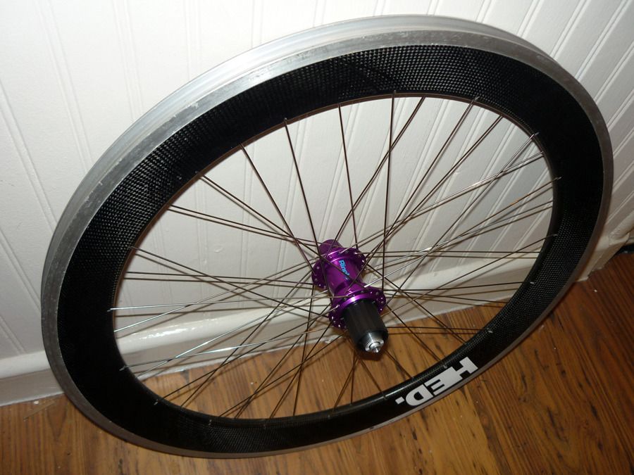 Ringle-HED.jpg