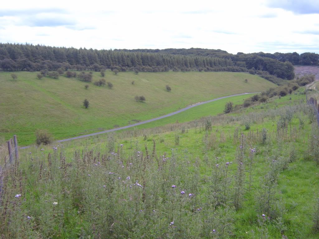 IMG00425.jpg