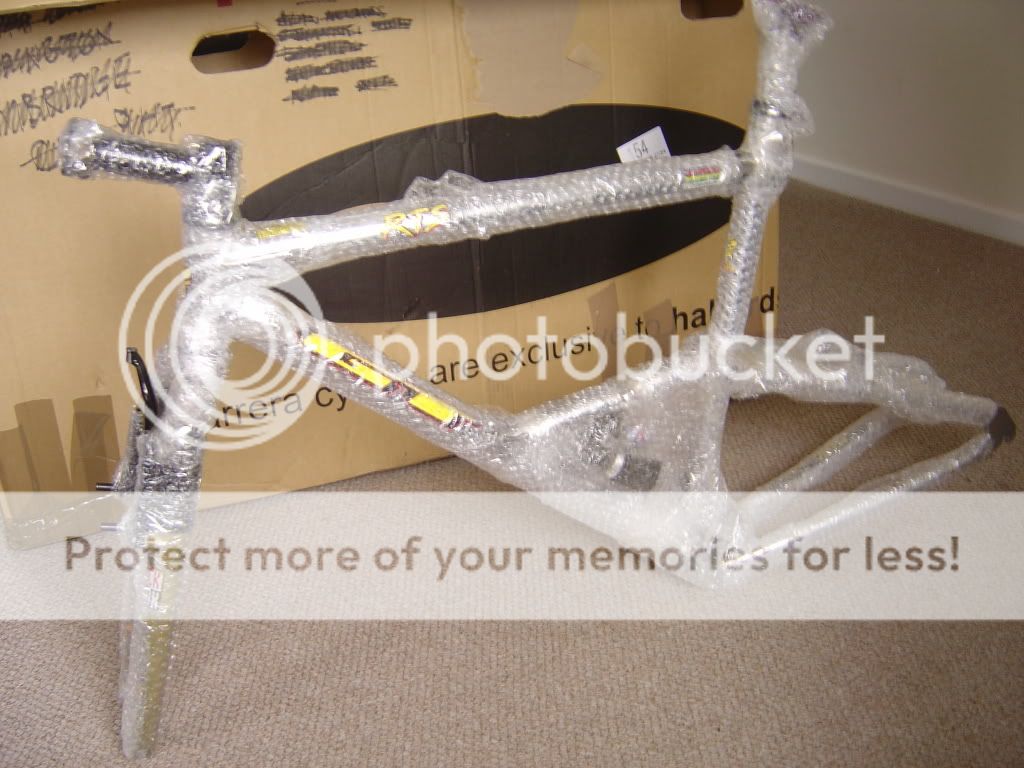 DSC05248.jpg
