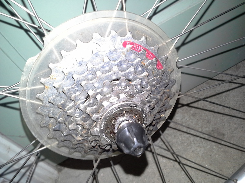 p4pb11954824.jpg