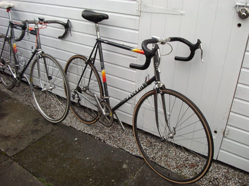 DSCF0534.jpg