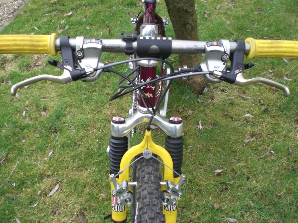 brandscortinacatsgrandbornandbikes110.jpg