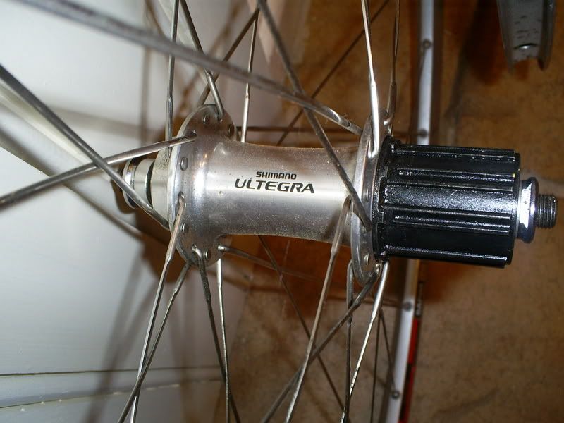 S5031253.jpg