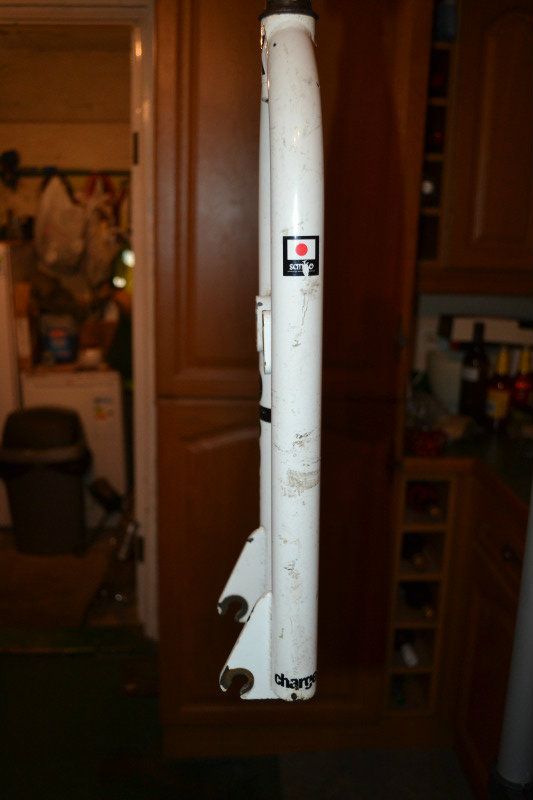 DSC_0153.jpg