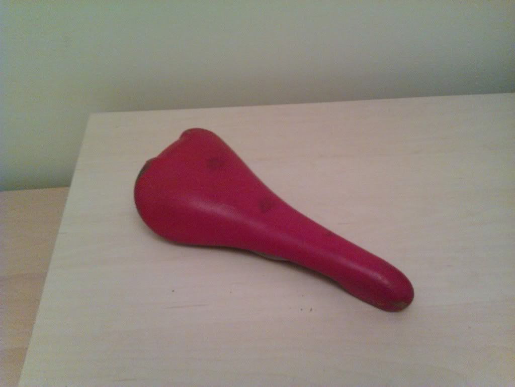 IMAG0210.jpg