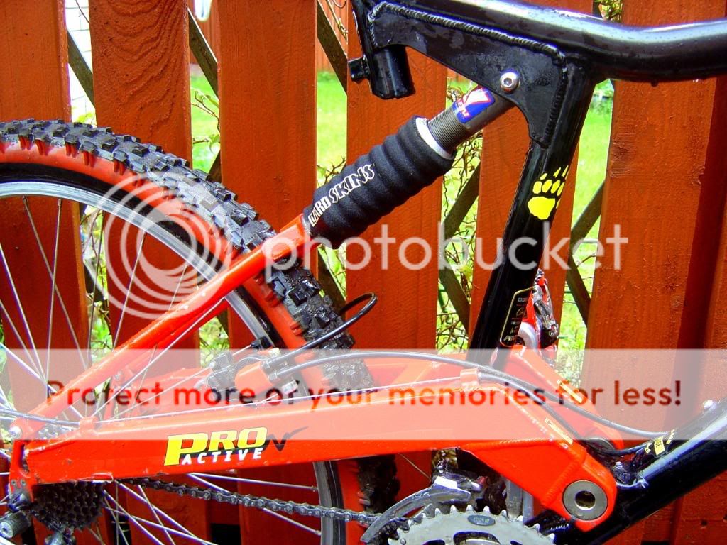 proflex3.jpg