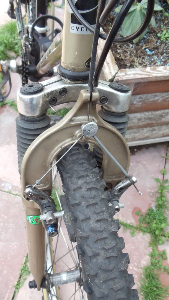 DSC01075.jpg