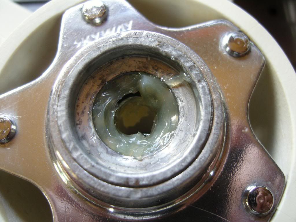 SNC18443.jpg