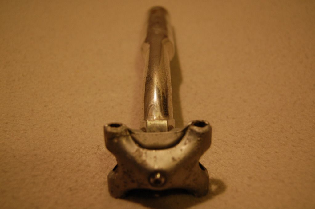 DSC_0545.jpg