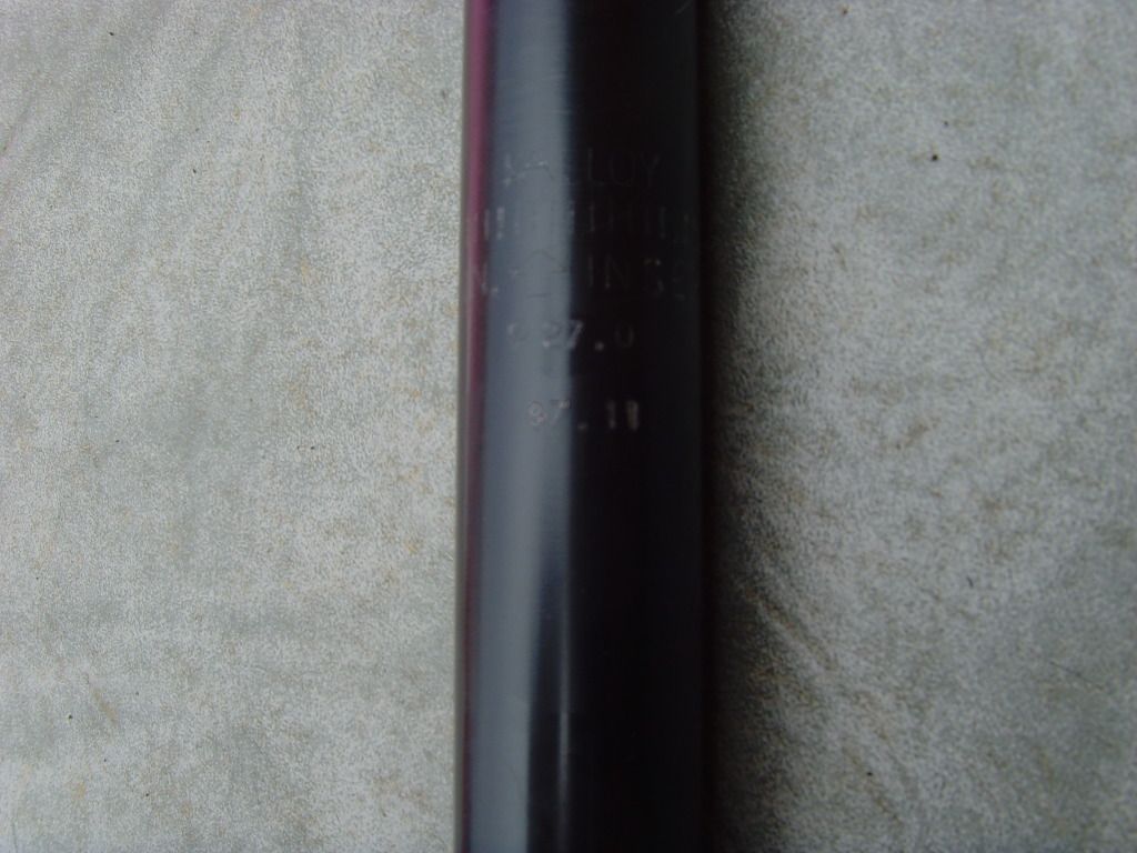 SNV36711.jpg