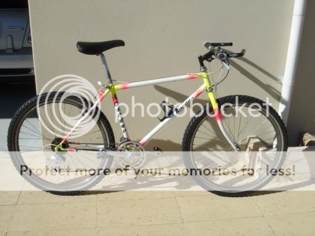 condor1600x1200.jpg