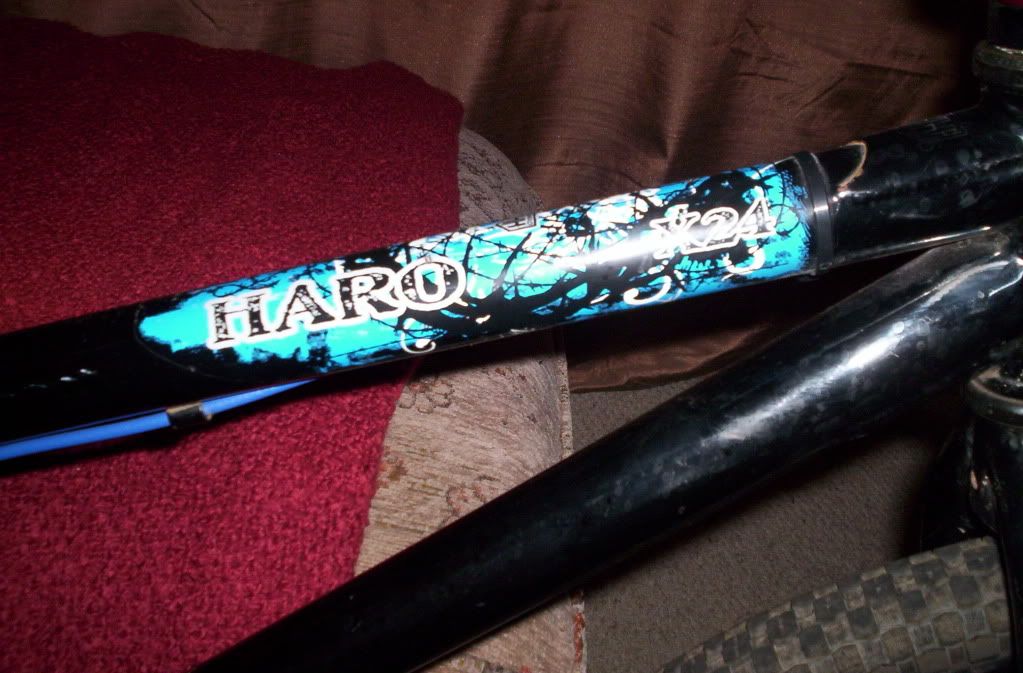 HAROX24003.jpg