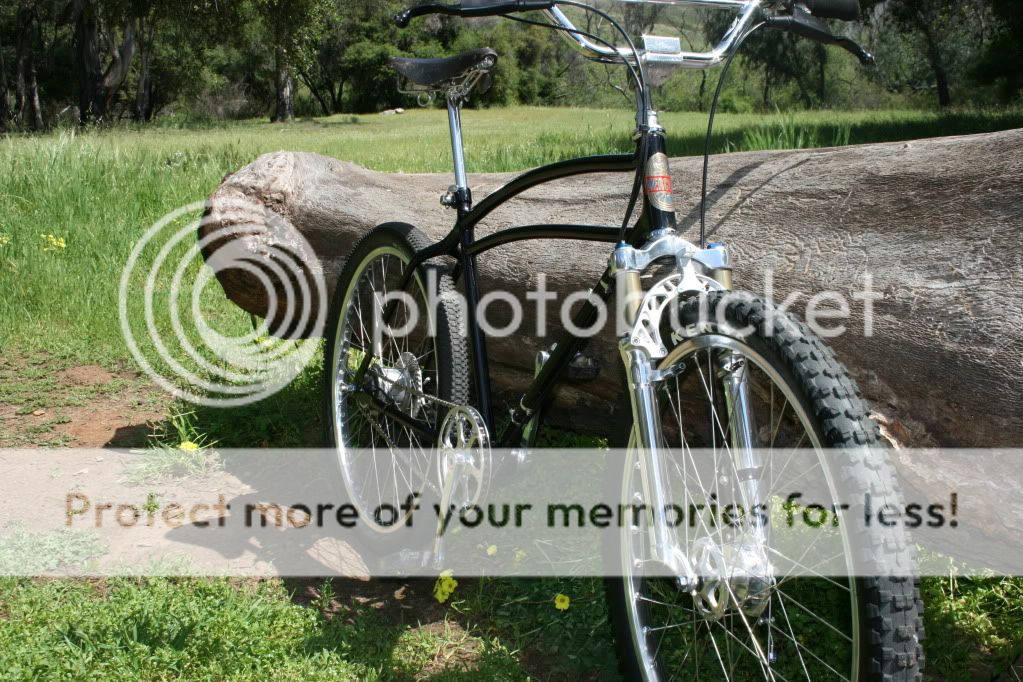 IMG_4841.jpg