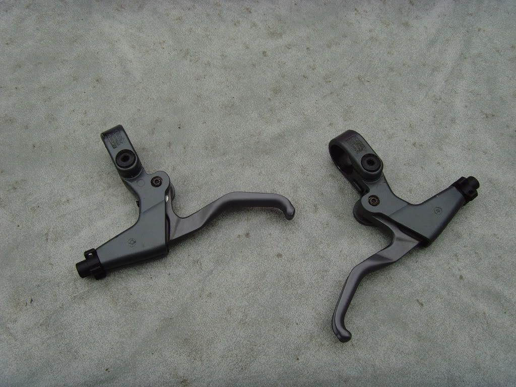 SNV36247.jpg