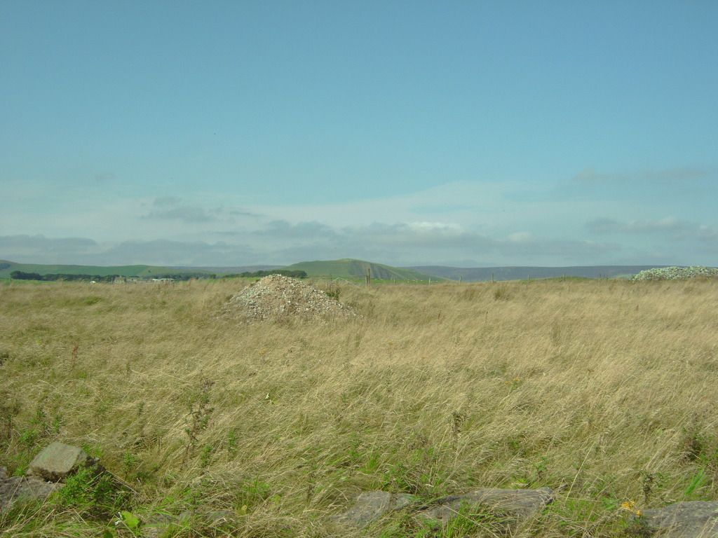 IMG00546.jpg
