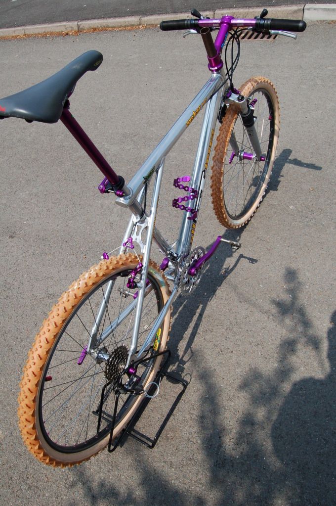 Zaskar_purp019.jpg