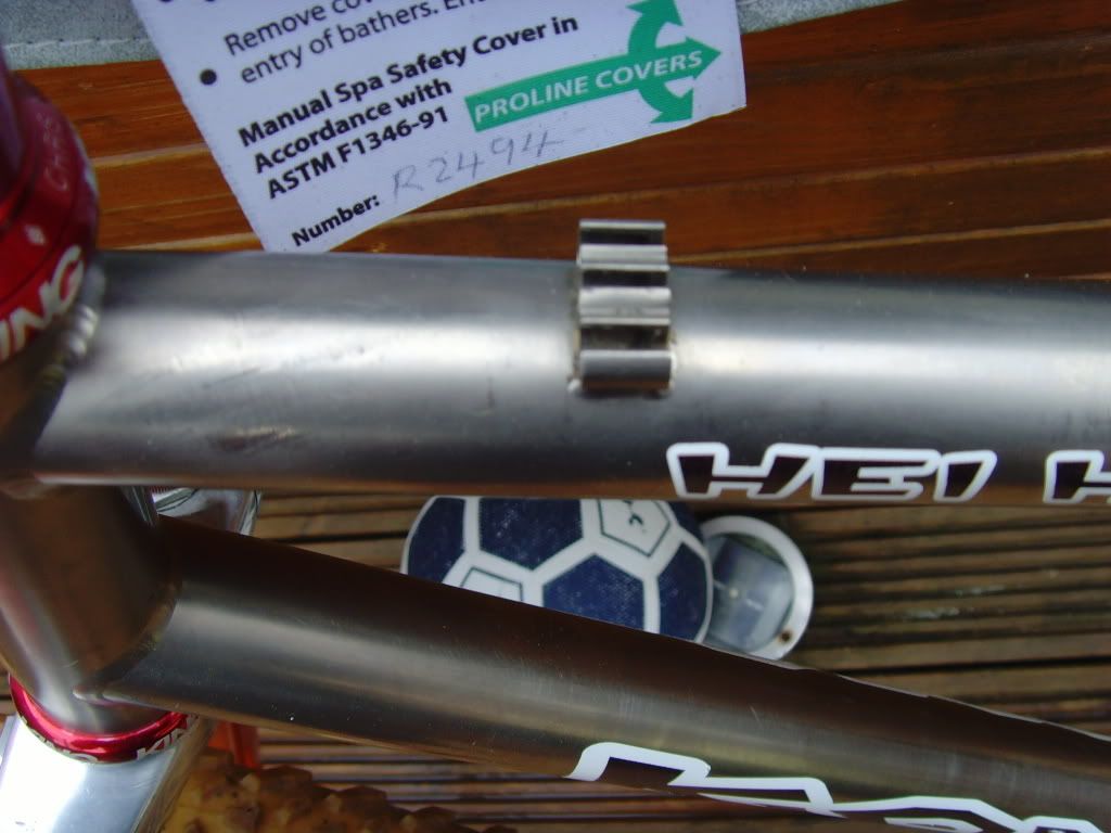 SNV35547.jpg