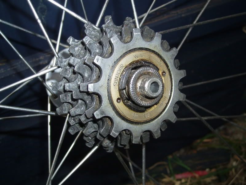 Picture112.jpg