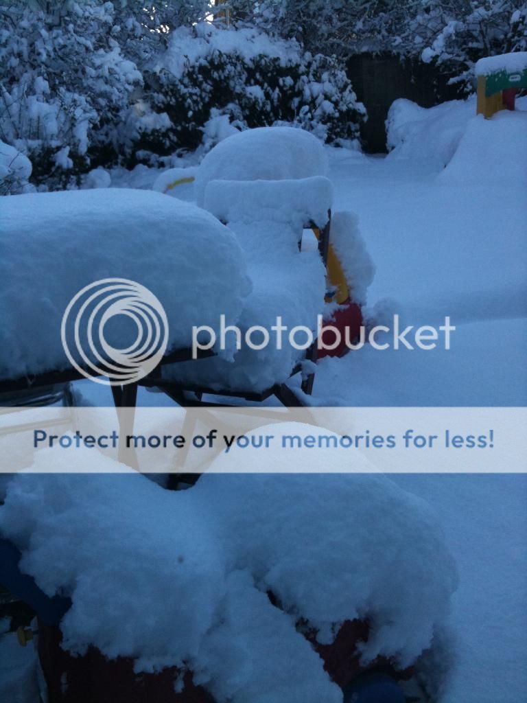 IMG_0157_zps2f76bf87.jpg