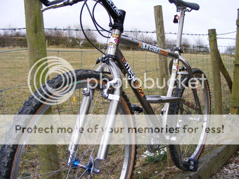 2010_0317bikes0093.jpg