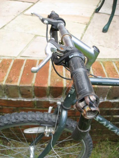 SaracenRufftrax007.jpg
