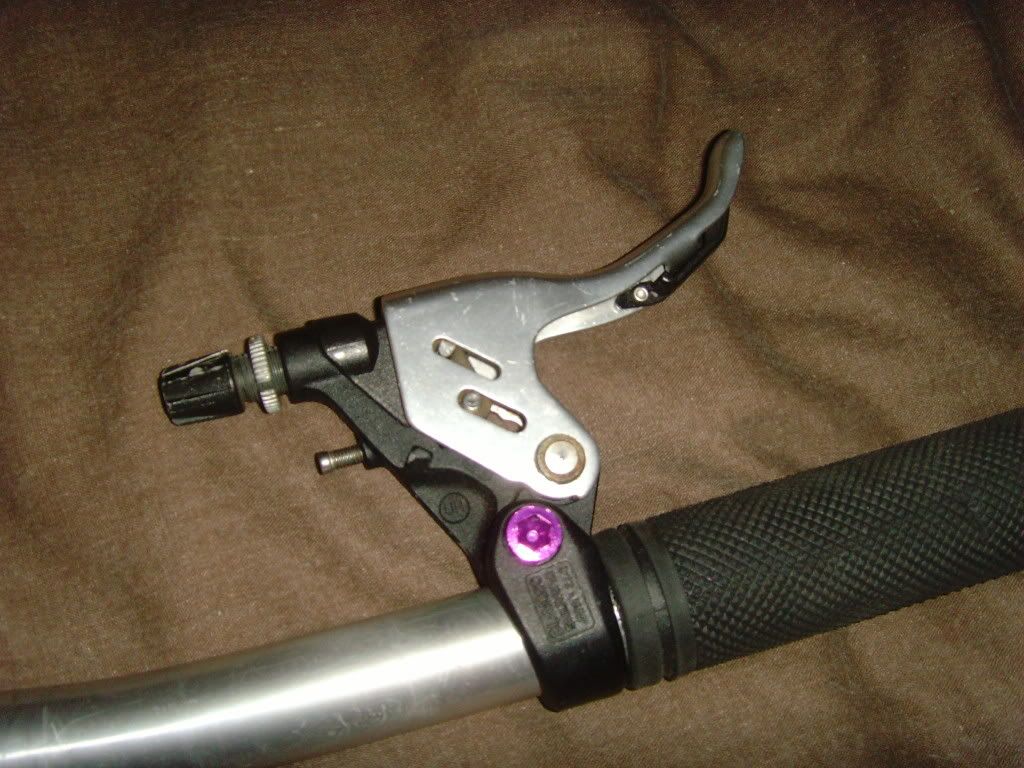 SNV34267.jpg