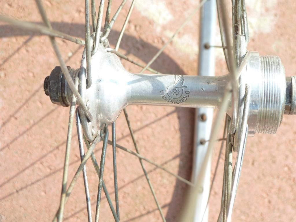 campywheels017.jpg
