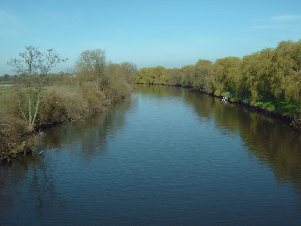 IMG00135.jpg