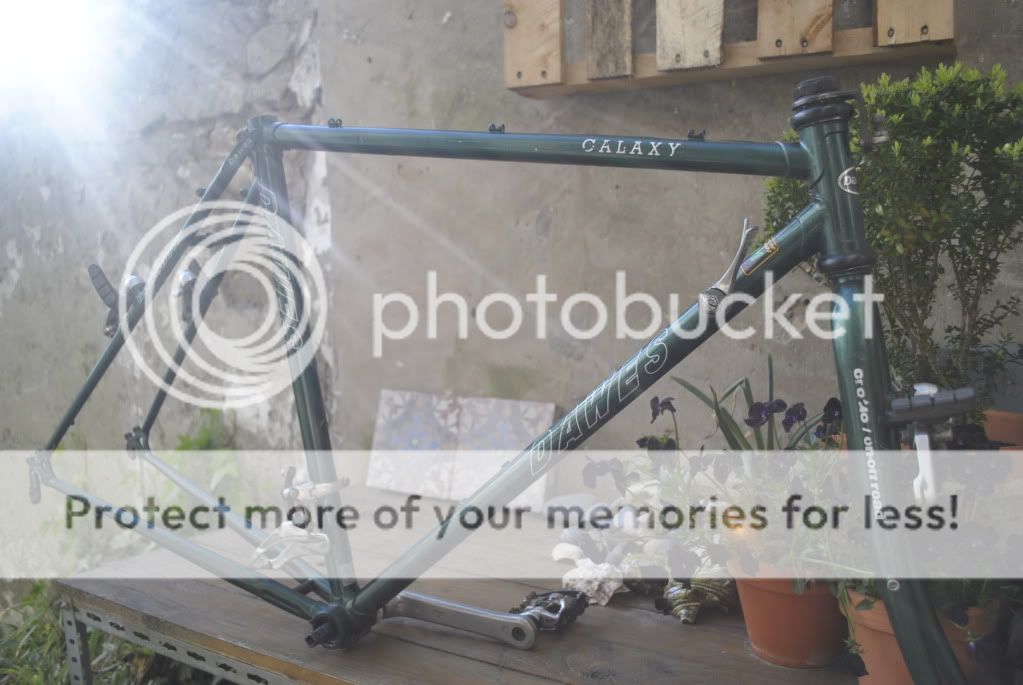 dawes1-5-2012009.jpg