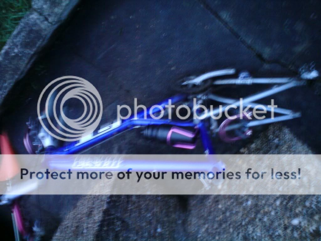 DSC00075.jpg