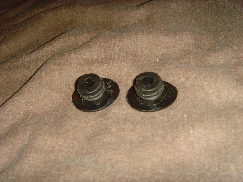 SNV34125.jpg