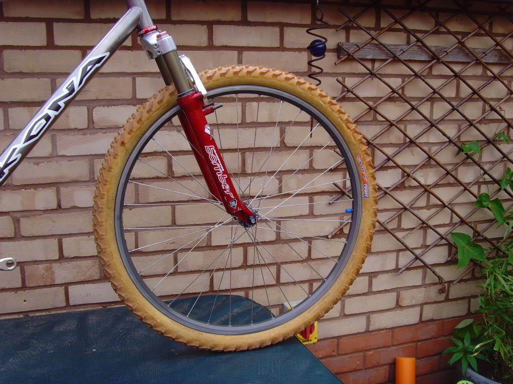 SNV35331.jpg
