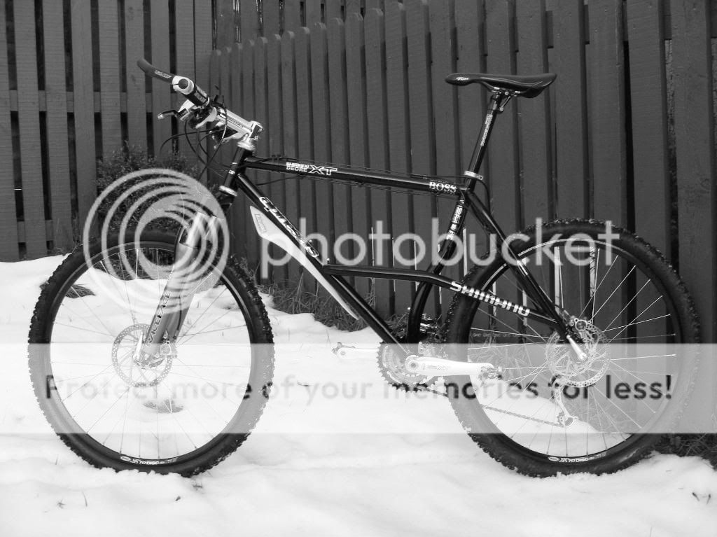 2008_1207alpinestars0011.jpg