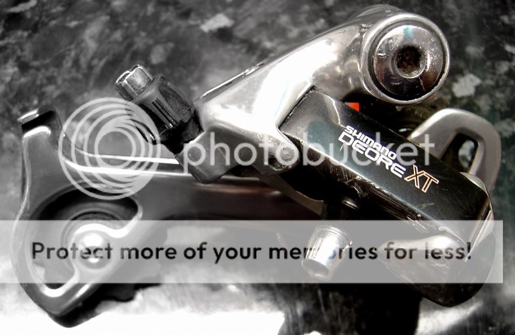 xtrear.jpg