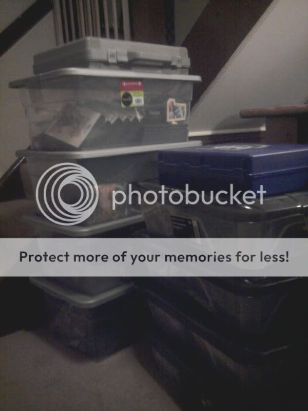 2011-03-08223050.jpg